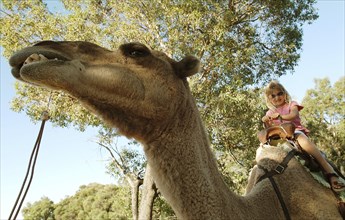 Australia, Western Australia, Perth, "Child riding a camel in Whiteman Park, Perth."