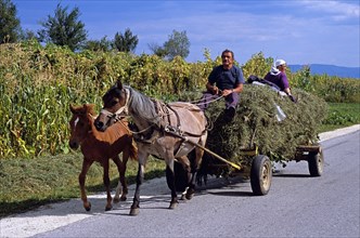 BULGARIA, Dobarsko, Couple travelling on horse drawn grass laden cart