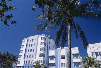 USA, Florida, Miami, South Beach. Ocean Drive. Park Central Hotel exterior with palm trees in the