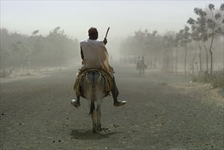 NIGERIA, Environment, Desertification.  Man riding donkey through dust storm.