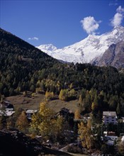 SWITZERLAND, Valais, Saas-Fee,  Village surrounded by trees in autumn colours with snow covered