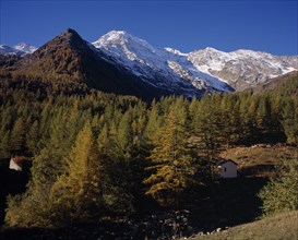 SWITZERLAND, Valais, Fletschorn Mountain, View west from Simplon Pass with trees in autumn colours