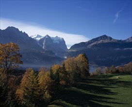 SWITZERLAND, Bernese Oberland, Bern , Hasliberg farmland north of Meringen. Trees in autumn colours