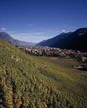 SWITZERLAND, Valais, Martigny, Rhone Valley. View across Vineyards on slope towards the town.