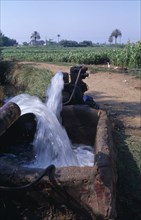 EGYPT, Nile Delta, A diesel powered water pump with a field of crops behind