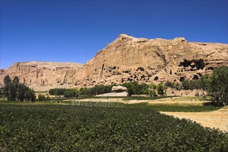AFGHANISTAN, Bamiyan Province, Bamiyan , General view over crop field with mountains behind.