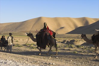 AFGHANISTAN, Desert, Kuchie camel train between Maimana and Mazar-I-Sharif