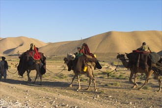 AFGHANISTAN, Desert, Kuchie camel train between Maimana and Mazar-I-Sharif