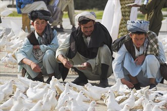 AFGHANISTAN, Mazar-I-Sharif, "Man feeding famous white pigeons at Shrine of Hazrat Ali (who was