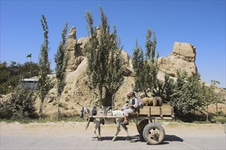 AFGHANISTAN, (Mother of Cities), Balkh, Men in horse and cart with sheep in back ride past ancient