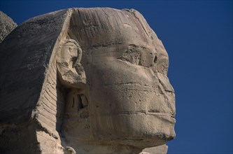 EGYPT, Cairo Area, Giza, The Sphinx. Side profile of head