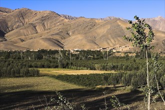 AFGHANISTAN, Sar-e-Cheshma , "Between Kabul and Bamiyan (the southern route), Fields near