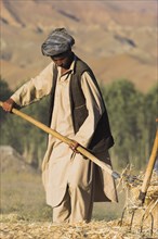 AFGHANISTAN, Bamiyan Province, Bamiyan, Man threshing