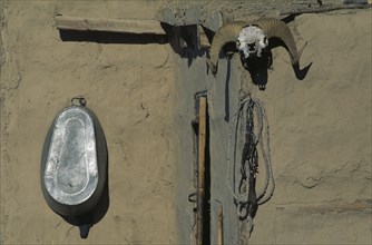 MONGOLIA, Bayan Olgii Province, Bulgan, Goat skull charm on wall of building in Kazakh nomad