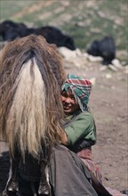 NEPAL, Mustang, Nomads, Tibetan nomad girl milking her yak in camp on the Summer pastures.