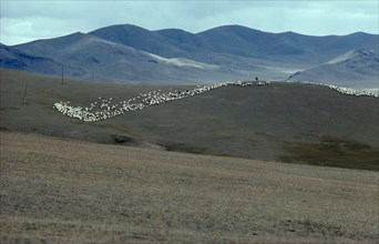 MONGOLIA, Arhangai Mountains, Mounted herdsmen with flock of sheep in distance.
