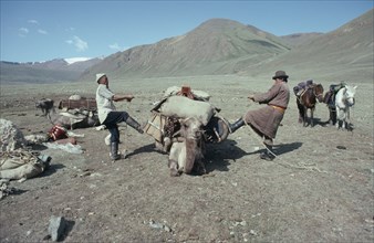 MONGOLIA, Work, "Two men preparing to leave camp, loading pack camel and pulling ropes tight."