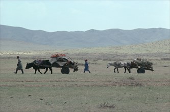 MONGOLIA, Animals, Nomad family leading yak and horse drawn carts laden with their belongings