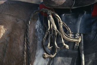 MONGOLIA, Animals, Close cropped view of hobbles tied to saddle of pony.