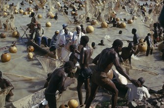 NIGERIA, North, Argungu, "Fishing Festival, mass of men and nets along stretch of river."