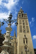 SPAIN, Andalucia, Seville, "Cathedral Bell tower, Plaza Virgen de los Reyes."
