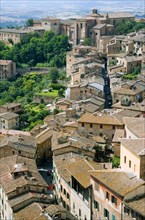 ITALY, Tuscany, Siena, View over rooftops and gardens with a narrow winding medieval street towards