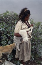 COLOMBIA, Sierra Nevada de Santa Marta, Ika, Ika shepherd girl checking recently born lamb's feet