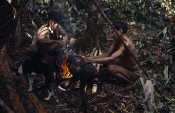 COLOMBIA, North West Amazon, Vaupes, Maku hunters with dog  singeing hair from carcass of wild boar