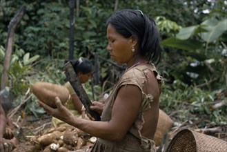 COLOMBIA, North West Amazon, Tukano Indigenous People, Barasana woman using a machete to peel