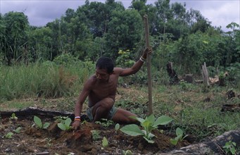 COLOMBIA, North West Amazon, Tukano Indigenous People, Makuna head man and shaman Ignacio Valencia
