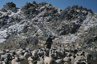 MONGOLIA, Gobi Desert, Biger Negdel, "Khalkha winter sheep camp, shepherd in fleece-lined silk