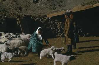 MONGOLIA, Gobi Desert, "Khalkha winter sheep camp  shepherd, his father and daughter, with flock