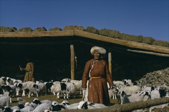 MONGOLIA, Agriculture, Khalkha winter sheep camp. Shepherd and daughter separating out lambs from