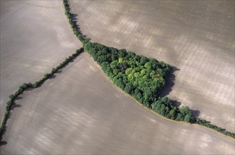 ENGLAND, Bedfordshire, Landscape, Aerial view over triangle of coppiced woodland and surrounding