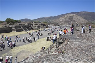 MEXICO, Mexico State, Teotihuacan, "Tourists, Pyramid of the Moon, Calzada de los Muertos,
