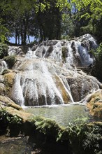 MEXICO, Chiapas, "Parque Nacional Agua Azul,", "Cascada Agua Azul, Agua Azul Waterfall, near