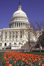 USA, Washington DC, "The Capitol Building, Capitol Hill"
