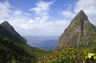 WEST INDIES, St Lucia, Soufriere , Val des Pitons The volcanic plugs of Gros Piton on the left and