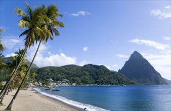 WEST INDIES, St Lucia, Soufriere, Soufriere beach lined with coconut palm trees with the town and