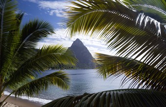 WEST INDIES, St Lucia, Soufriere, The volcanic plug mountain of Petit Piton seen through the