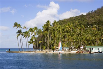 WEST INDIES, St Lucia, Castries , Marigot Bay The small coconut palm tree lined beach of the