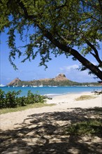 WEST INDIES, St Lucia, Gros Islet , Pigeon Island National Historic Park seen through trees from a