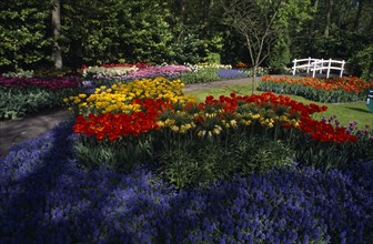 HOLLAND, South, Lisse, Keukenhof Gardens. Multicoloured tulip display with a small white footbridge