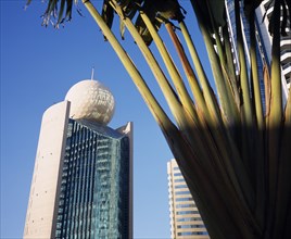 UAE, Dubai, Deira, "Etisalat Building on Dubai Creek with traveller’s palm, partly in shadow in the