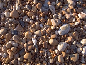 ENGLAND, Beaches, Rocks and Pebbles, Detail of pebbles on beach