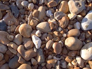 ENGLAND, Beaches, Rocks and Pebbles, Detail of pebbles on beach