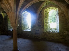 ENGLAND, East Sussex, Battle, Battle Abbey. Partially ruined abbey complex. Interior of the novices