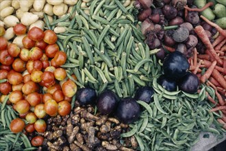 INDIA, Madhya Pradesh, Gwalior, "Close cropped view of vegetables displayed on market stall