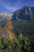 SLOVAKIA, Carpathian Mtns, High Tatras Mtns, View towards the High Tatras mountains from the