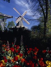 HOLLAND, South, Lisse, Keukenhof Gardens. The parks Windmill with tulips in the foreground.